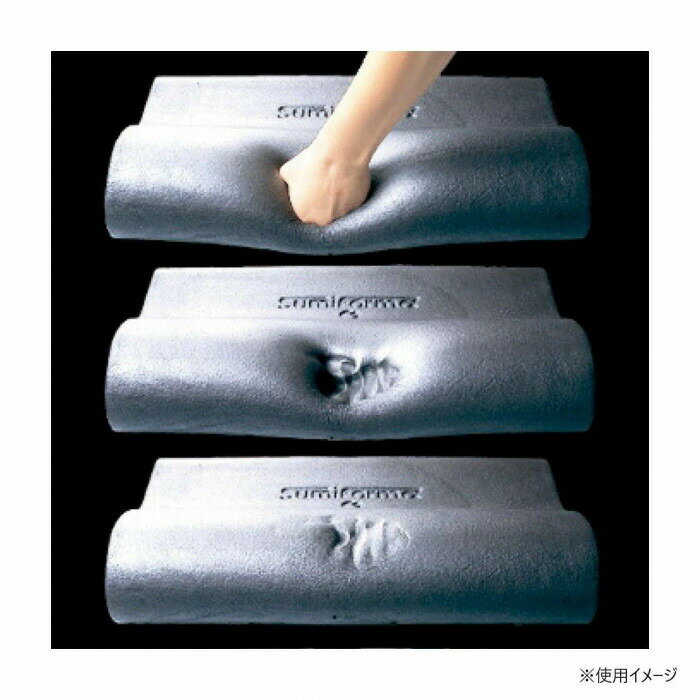 ドクター・スミス 炭枕イレタン 13038D 4091-021 【北海道・沖縄・離島配送不可】