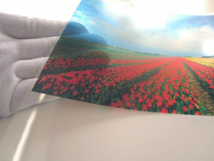 �»�Υ������� �����ѡ����ꥢ�ե���� 1118mm��20m�� WA013-1118 ���̳�ƻ�����졦Υ�������Բġ�