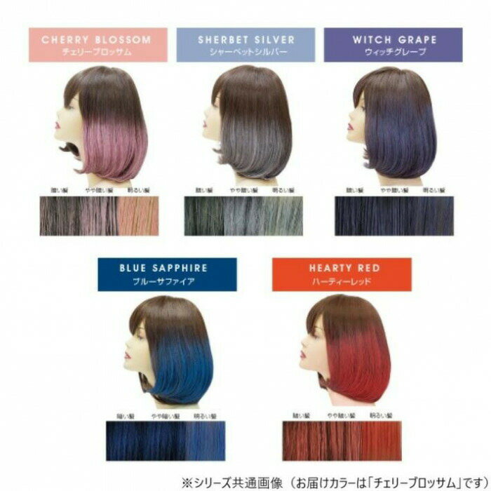 ���쥹���顼 1Day�إ����顼 �ѥ��������ץ졼 60g �����꡼�֥��å��� GO-CPSF1 ���̳�ƻ�����졦Υ�������Բġ�