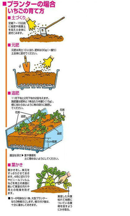 有機100％　骨粉入り・油かす　5kg　2袋セット 【北海道・沖縄・離島配送不可】