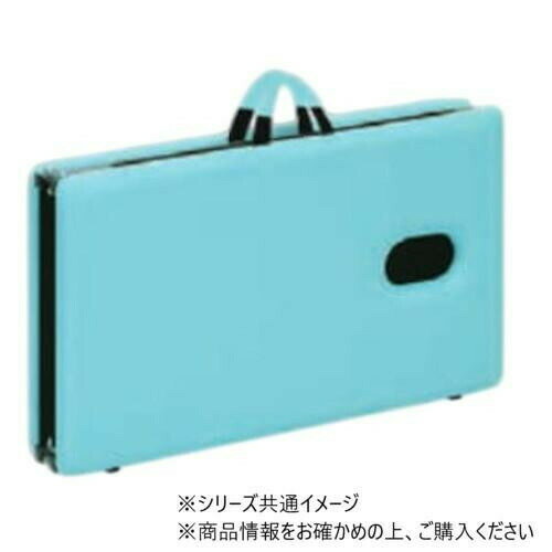 高田ベッド製作所 有孔ムーブベッド (折りたたみ式ポータブルベッド) 幅50×長さ180×高さ50cm スカイブルー TB-1007U 【北海道・沖縄・離島配送不可】 [2]