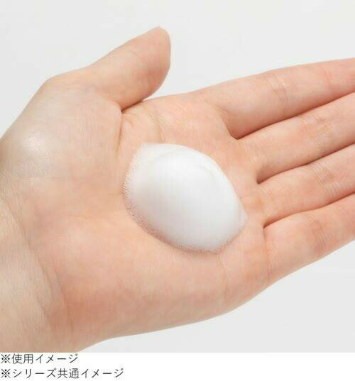 �ԥ���� ����ˢ������ ���äȤ� 500ml 570442 ���̳�ƻ�����졦Υ�������Բġ�