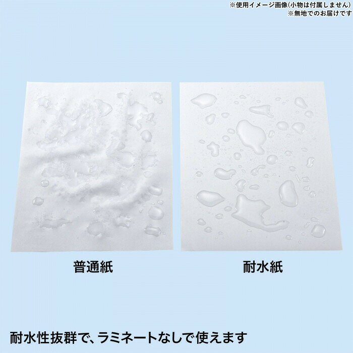 フジックスのサンワサプライ カラーレーザー用 耐水紙 特厚 A3サイズ LBP-WPF22MDPN-A3 【沖縄配送不可】｜アングル3