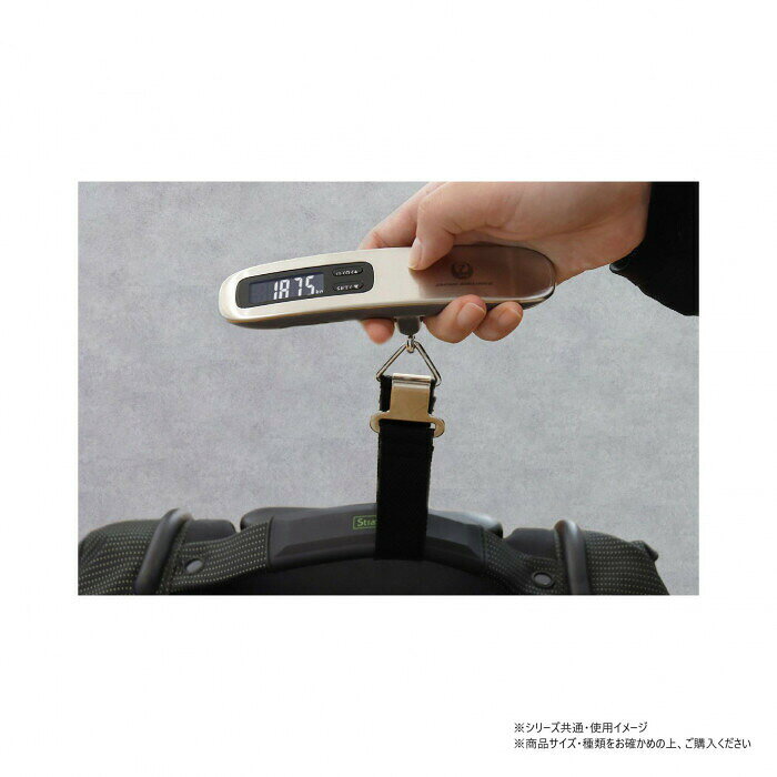 フジックスのドリテック dretec バックライト付ラゲッジスケール シルバー LS-110SVJX｜アングル3