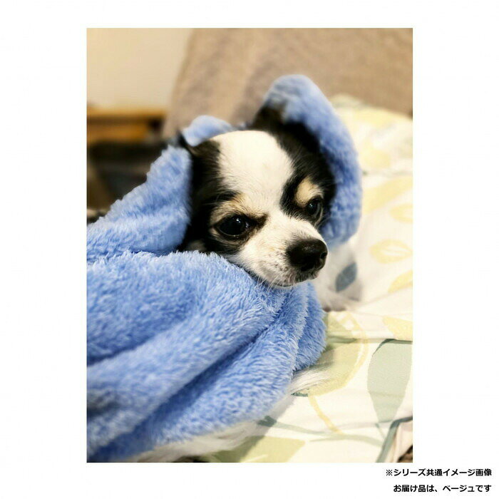 犬飼タオル MIC-PET マイクロファイバーなめらかリッチ ペットミトン ベージュ