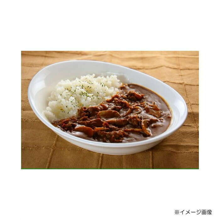 井上スパイス オーガニックハヤシルゥ 4皿分×15個セット 【北海道・沖縄・離島配送不可】 fujix-12597773 フジックス サンプル画像2