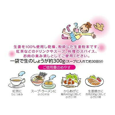 フジックスの玉三 しょうがの粉30g×60個 3725 【北海道・沖縄・離島配送不可】｜アングル2