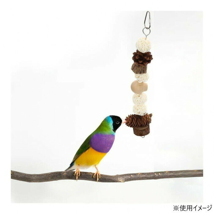 フジックスのROOP ループ バディ 鳥用おもちゃ ナチュラルコンボ 【沖縄配送不可】｜アングル2