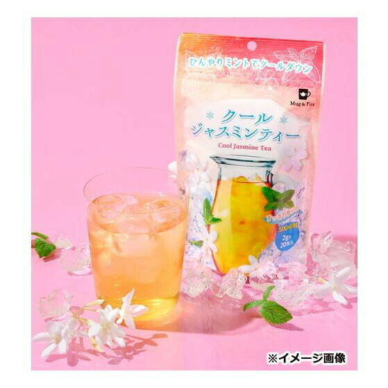フジックスのMyg&Pot お徳用ティーバッグ クールジャスミンティー (2g×20P) 12個セット 866 【北海道・沖縄・離島配送不可】｜アングル2