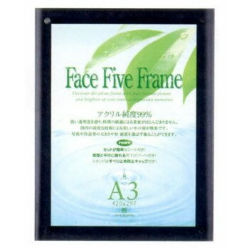 アートプリントジャパン フォトフレーム フェイスファイブフレーム A3対応 スモーク 30736770 【北海道・沖縄・離島配送不可】