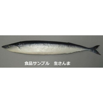 日本職人が作る 食品サンプル　生さんま　IP-500 【北海道・沖縄・離島配送不可】