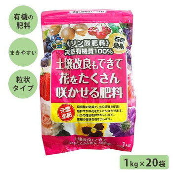 ＜＜ご注意下さい＞＞こちらの商品はメーカーよりお客様へ直接お届けの品になります。 当店での在庫はしておりません。在庫の有無はメーカー在庫のみになりますので、急な欠品や急に廃盤になる可能性がございます。こちらの商品の配送について○北海道・沖縄・離島につきましては、配送不可となりますので予めご了承お願いします。こちらの商品の包装(ラッピング)について○上記の理由(メーカーより直送)により包装はできませんので予めご了承お願いします。こちらの商品の不具合について○お届けしましたこちらの商品に不具合があった場合、商品到着日より1週間以内に当店にご連絡ください。メーカーが直接対応させて頂きます。○お客様がご自身で修理された場合、費用の負担は致しかねますので予めご了承下さい。色鮮やかな花をたくさん咲かせます。バラなどの花色を鮮やかにし、果樹は甘味を引き出します。腐植酸のおかげで、断根しても植え傷みが少ない!※梱包時 破損防止のため別商品の袋を再利用し梱包することがございます。サイズ：1袋あたり:5×16×21cm個装サイズ：50.0×32.0×21.0cm重量：個装重量：20000g素材・材質：バットグアノ仕様：粒状タイプセット内容：1kg×20袋生産国：日本