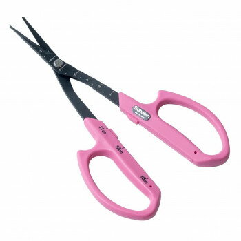 ���ܥƥ󡡥ե��ǥ����Ȥ֤ɤ�������ݤ������ϥ�ɥ롡B-6MB ���̳�ƻ�����졦Υ�������Բġ�