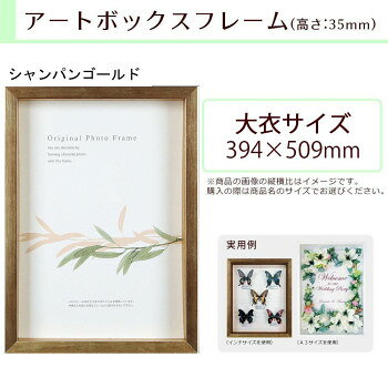 ＜＜ご注意下さい＞＞こちらの商品はメーカーよりお客様へ直接お届けの品になります。 当店での在庫はしておりません。在庫の有無はメーカー在庫のみになりますので、急な欠品や急に廃盤になる可能性がございます。こちらの商品の配送について○北海道・沖縄・離島につきましては、配送不可となりますので予めご了承お願いします。こちらの商品の包装(ラッピング)について○上記の理由(メーカーより直送)により包装はできませんので予めご了承お願いします。こちらの商品の不具合について○お届けしましたこちらの商品に不具合があった場合、商品到着日より1週間以内に当店にご連絡ください。メーカーが直接対応させて頂きます。○お客様がご自身で修理された場合、費用の負担は致しかねますので予めご了承下さい。深さ25ミリの立体の木製額。フィギュアBOXとして、フラワーアレンジメントやウェディングボードとしても最適。※商品名の表記サイズは裏板サイズ(中に入れる紙のサイズ、内寸)です。※外寸は裏板のサイズにフレームの幅を足したものが目安となります。※自然素材を使用しておりますので、サイズ・重量に若干の誤差がある場合が御座います。サイズ：個装サイズ：43×55×4cm重量：約2000g個装重量：2020g素材・材質：フレーム:木、前面:アクリル仕様：規格:大衣(内寸:394×509mm)壁掛け専用付属品：紐生産国：日本