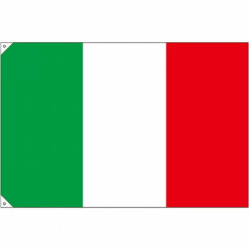 N国旗(販促用) 23654 イタリア 大 【北海道・沖縄・離島配送不可】(3)