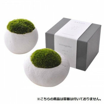 SASSO用 苔キット ※容器は付属無し 【北海道・沖縄・離島配送不可】