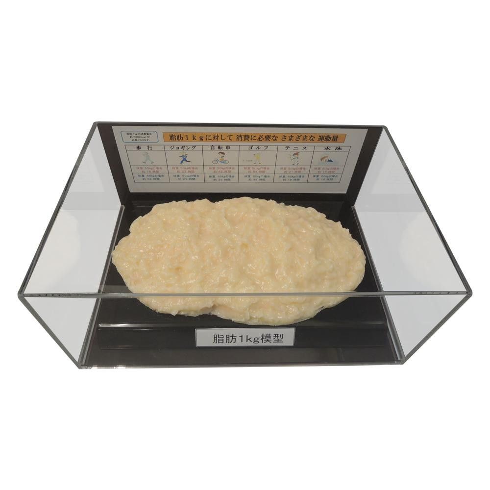 �����Ϸ��ե����奢�������� 1kg IP-978 ���̳�ƻ�����졦Υ�������Բġ�