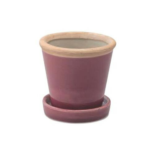 30734 グロッシーポット カシス 【北海道・沖縄・離島配送不可】