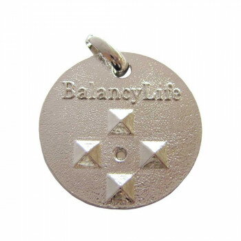 ���㥿��ɥå� �Х�󥷡��饤�� ����С� BL-S ���̳�ƻ�����졦Υ�������Բġ�