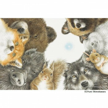 ジグソーパズル 1000ピース ほしをさがしに(しもかわら ゆみ) 【北海道・沖縄・離島配送不可】