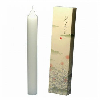 東海製蝋 ローソク 月あかり40時間 2本 131-13 【北海道・沖縄・離島配送不可】