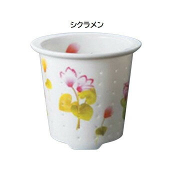 ティーフォーワン 誕生花 12月 シクラメン TFO-003 【北海道・沖縄・離島配送不可】