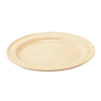 ピザやサラダ、ワイルドに焼いたお肉など、みんなでワイワイ食べる時間は楽しくておいしさも格別。【取扱上の注意】※ホーロー(琺瑯)とはガラス質の釉薬を鉄などの金属表面に被膜して高温で焼きつけた物です。※表面はガラス質なので衝撃は禁物です。破損の原因となります。※火にかける場合は急激な加熱、冷却はお避け下さい。※空焚きはおやめください。万一、空焚きしてしまった場合は水などをかけずに自然に冷めるのをお待ち下さい。※水で急に冷やしたりするとホーロー層にマイクロクラック(目に見えない細かな亀裂)が出来る事があります。※実用上、安全上ともに問題はありませんが、こうなった場合多少錆びやすくなりますのでご使用後は十分に乾燥させて下さい。(サビが出ても鉄サビですので、人体には無害です。)※フックに吊るした状態で釉薬をかけるため跡が残ることがあります。また、稀に焼成中に煤などが付着して黒い点となり完成することがあります。これらは製品工程上生じるもので不良品ではございません。安心してご使用ください。※商品に取り扱い説明書が同封されますので、ご使用前にお読み下さい。サイズ：直径26.5×深さ1.5cm(詳細サイズは最終画像をご確認ください)個装サイズ：3.0×28.0×28.0cm重量：個装重量：300g素材・材質：ホーロー仕様：電子レンジ:使用不可オーブン:使用可能直火:使用可能食器洗浄機:使用可能付属品：取り扱い説明書生産国：中国