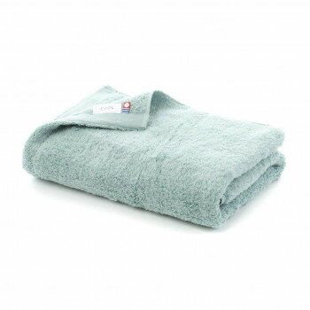 ハートウエル　タオルではじめるスキンケア BT ミント 【北海道・沖縄・離島配送不可】