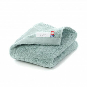 ハートウエル　タオルではじめるスキンケア FT ミント 【北海道・沖縄・離島配送不可】(3.0)