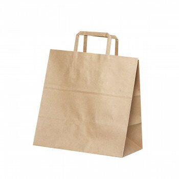 平紐手提袋　H平28　未晒　無地 50枚 XZK69931 【北海道・沖縄・離島配送不可】(3.0)