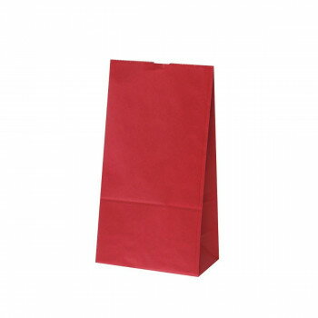 ハイバッグ H6 ルージュ 100枚 XZK00402 【北海道・沖縄・離島配送不可】