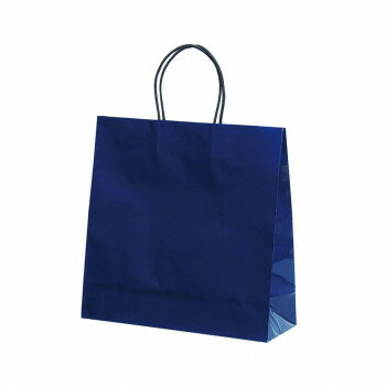 ST3才 プリティ 紺 10枚 XZK00854 【北海道・沖縄・離島配送不可】