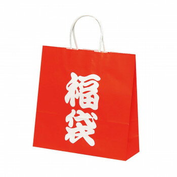 自動手提袋 HX 福袋 50枚 XZKT0753 【北海道・沖縄・離島配送不可】