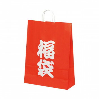 自動手提袋 HV100 福袋 50枚 XZKT0950 【北海道・沖縄・離島配送不可】