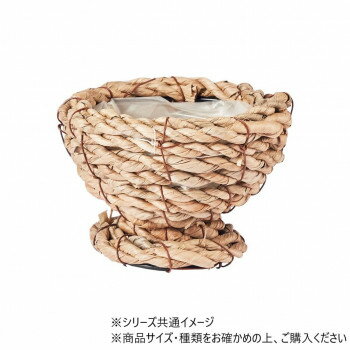 NEW盃型 L　7200022 【北海道・沖縄・離島配送不可】