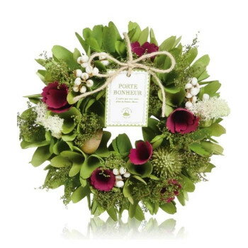 �������������������� �����꡼����18 ���꡼�� 660-033S ���̳�ƻ�����졦Υ�������Բġ�