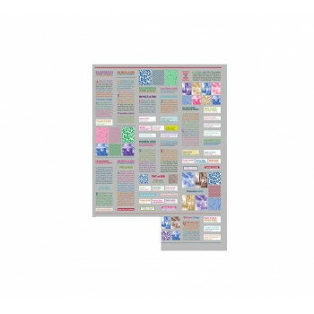 TSUMEKIRA(ツメキラ) effrontee kyokoプロデュース Miss Journal カラフル NN-EFK-006 