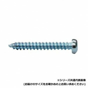樂天商城 - セレクト タッピング　ナベ　4X40 TN-40P 【北海道・沖縄・離島配送不可】