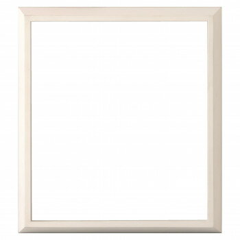 大額 色紙額 4894 8×9 ホワイト 【北海道・沖縄・離島配送不可】