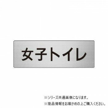 ユニット 女子トイレ　片面表示 RS6-11 【北海道・沖縄・離島配送不可】