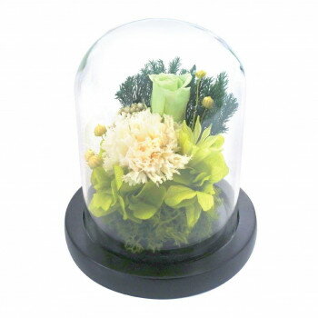 お供え用(仏花)　ガラスドームアレンジメント　プリザーブドフラワー　清華(きよか)　C25000 【北海道..