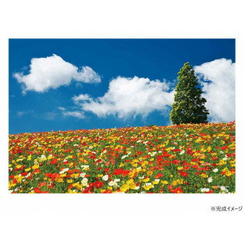 コンパクトピースパズル 1000ピース 兵庫県 彩りの散歩道 13-10 【北海道・沖縄・離島配送不可】