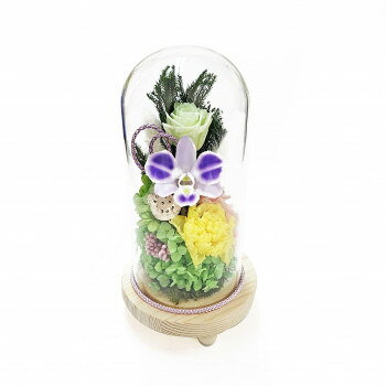 お供え用(仏花)　ガラスドームアレンジメント　プリザーブドフラワー　心結(みゆ)　C35660 【北海道・..