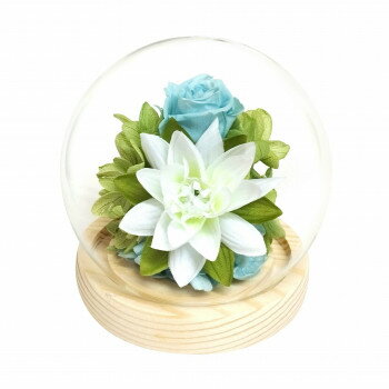 お供え用(仏花)　四季スフィア　プリザーブドフラワー　夏　ハス　C38202 【北海道・沖縄・離島配送不..