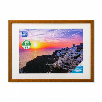 大仙 写真額 カノト A3 ブラウン 33C09204002 【北海道・沖縄・離島配送不可】