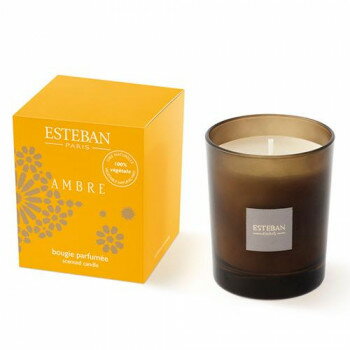 日本香堂 Nアンバー キャンドル 53570 【北海道・沖縄・離島配送不可】