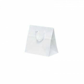 塼ȥХå ۥ磻 5927 10 ̳ƻ졦ΥԲġ