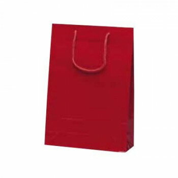 ナイスバッグ手提袋 ワイン 1153 10枚 【北海道・沖縄・離島配送不可】