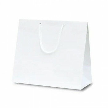 ファインバッグ(ワイド)手提袋 150ワイド 1175 10枚 【北海道・沖縄・離島配送不可】