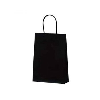 マットバッグ(S) 手提袋 ブラック 1068 10枚 【北海道・沖縄・離島配送不可】